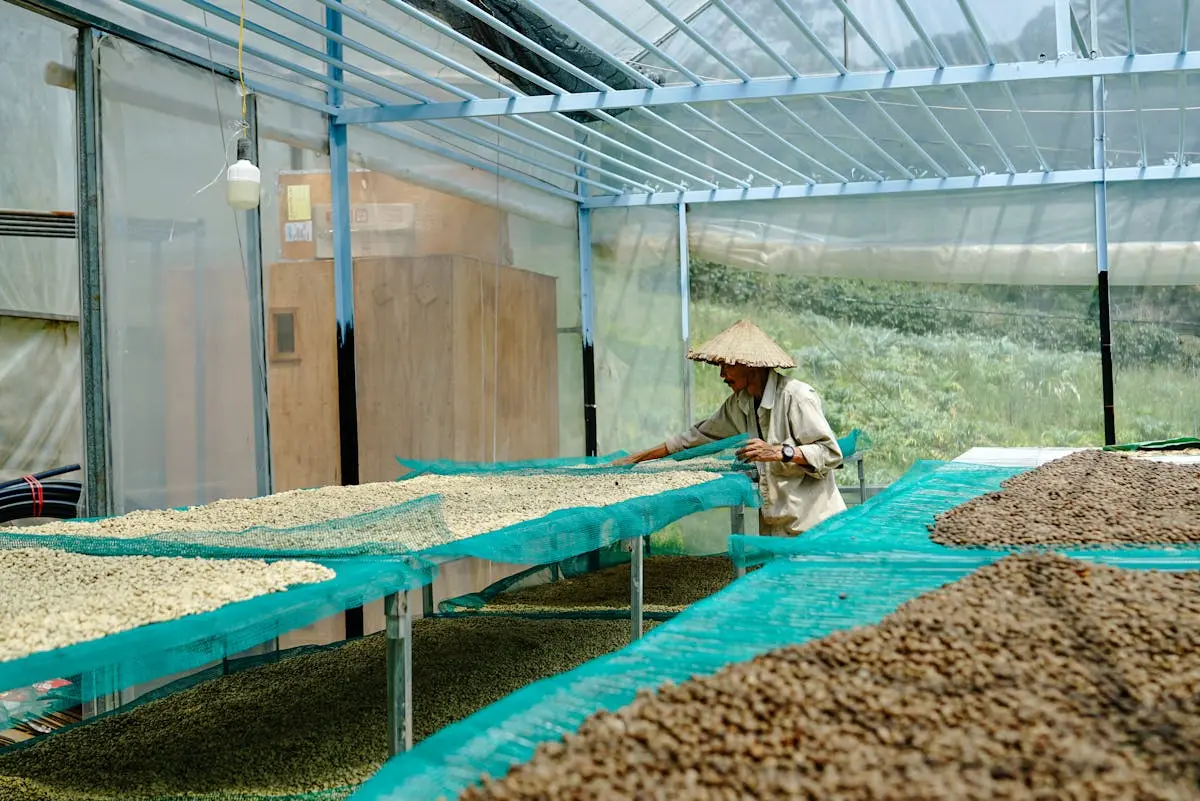 Shadenet drying bed, close view